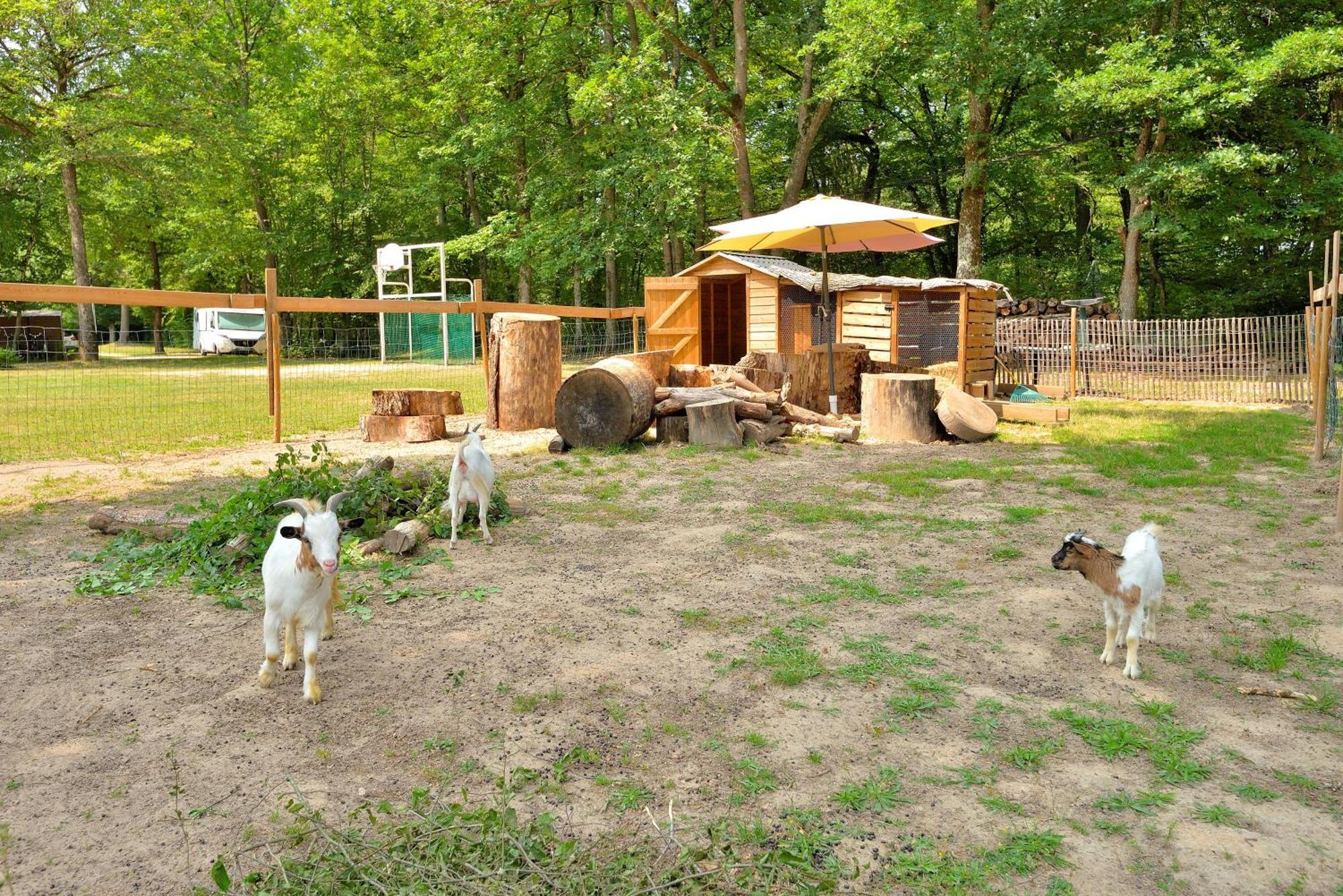 Camping Etang De La Vallee Combreux Exterior foto